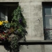 ...Qui s'occupera des fleurs ?