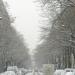 rue Sarrette (2)