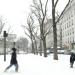 Bagarre de boules de neige place Jacques Demy