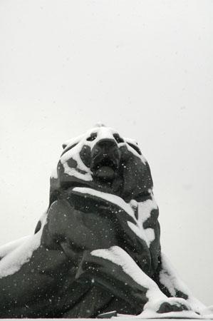 Le Lion de Denfert-Rochereau (3)