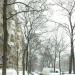Le Boulevard Raspail