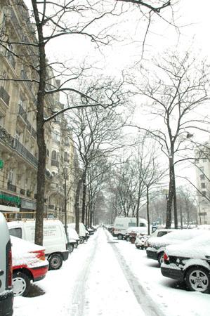 Le Boulevard Raspail