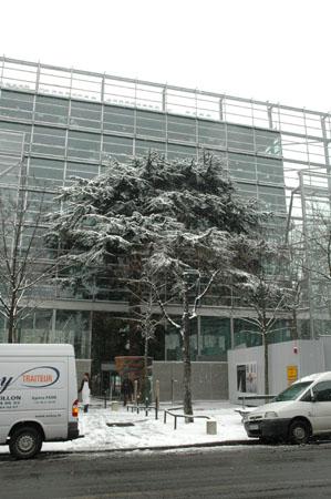 La Fondation Cartier