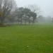 Jour de brume...