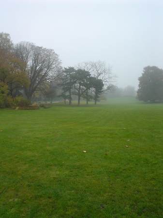 Jour de brume...