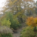 Couleurs d'automne