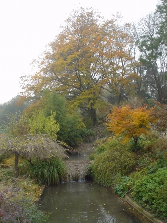 Couleurs d'automne
