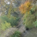 Palette d'automne