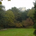 Central Park