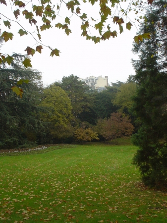 Central Park