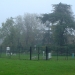 Beau gris