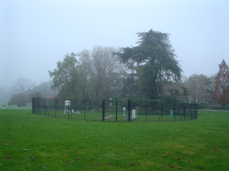 Beau gris