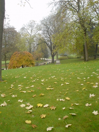 Parcsemées