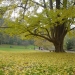 Parc Montsouris - Couleurs d'Automne