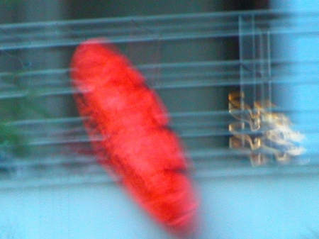 flous le flotteur de balcon