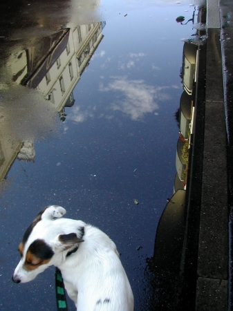 reflets pablo au pays des rêves