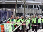 medium_200e_arbre4.jpg