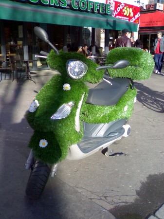 medium_21012007492.2.jpg