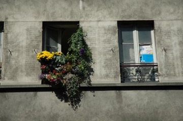 medium_79._le_concours_des_balcons_fleuris.jpg