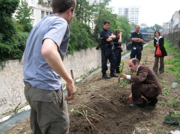 medium_IMG_3593.jpg
