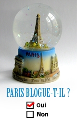 medium_paris_blogue_t_il.jpg
