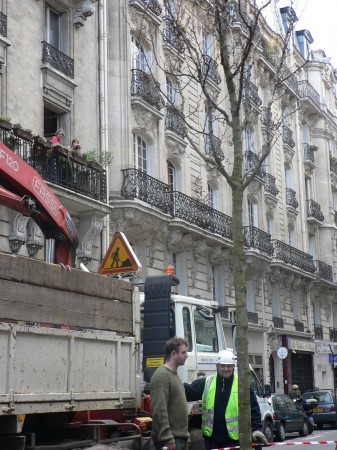 medium_plantation_d_arbres_le_3_avril_rue_daudet_20_.jpg