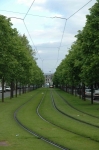 medium_tramway_sur_gazon.jpg