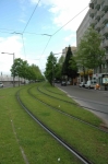 medium_tramway_sur_gazon_4.jpg