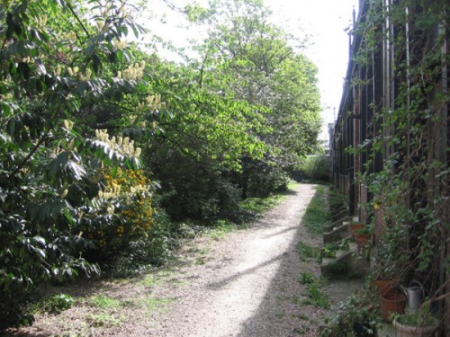 jardin 83 format léger.jpg