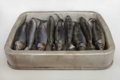 Paris14.info lit Sardine.jpg